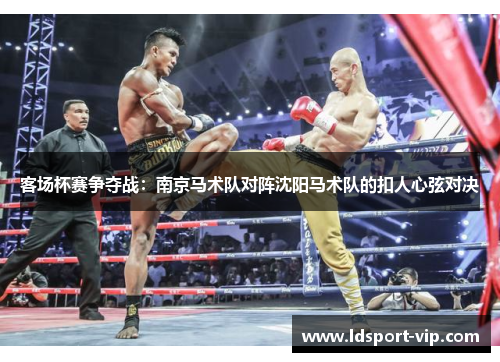 客场杯赛争夺战：南京马术队对阵沈阳马术队的扣人心弦对决