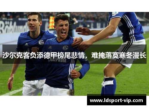 沙尔克客负添德甲榜尾悲情，难掩落寞寒冬漫长