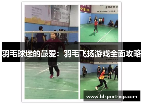 羽毛球迷的最爱：羽毛飞扬游戏全面攻略